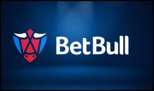 Online casino at BetBull.com to close its doors from July 3